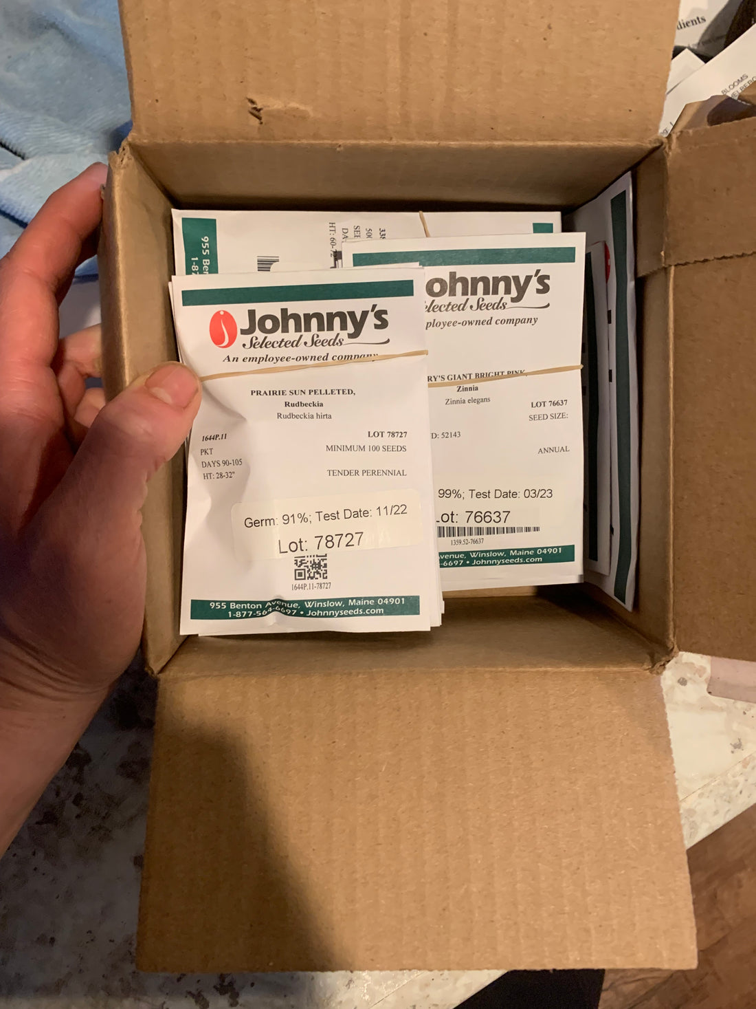 Top 3 Places to Buy Seeds