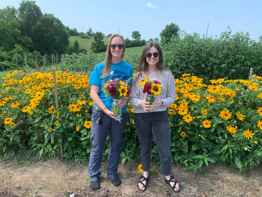 Discover the Magic of Bountiful Blooms Farm's U-Pick Flower Experience