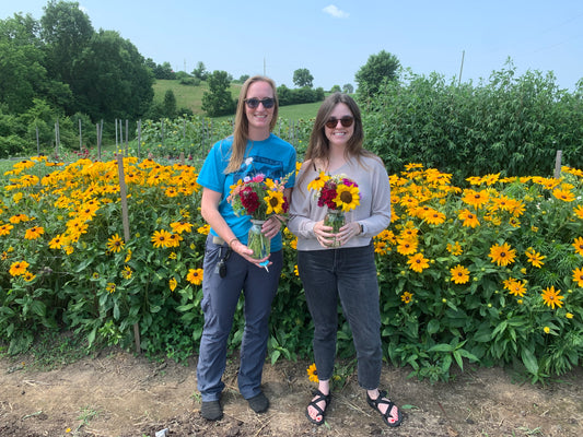 Discover the Magic of Bountiful Blooms Farm's U-Pick Flower Experience