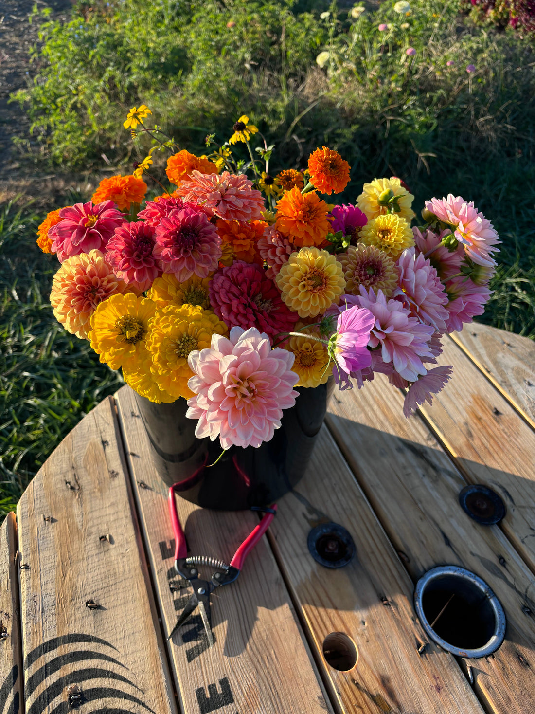 Treat Yourself to Dahlias This Valentine’s Day: The Ultimate Gift of Love