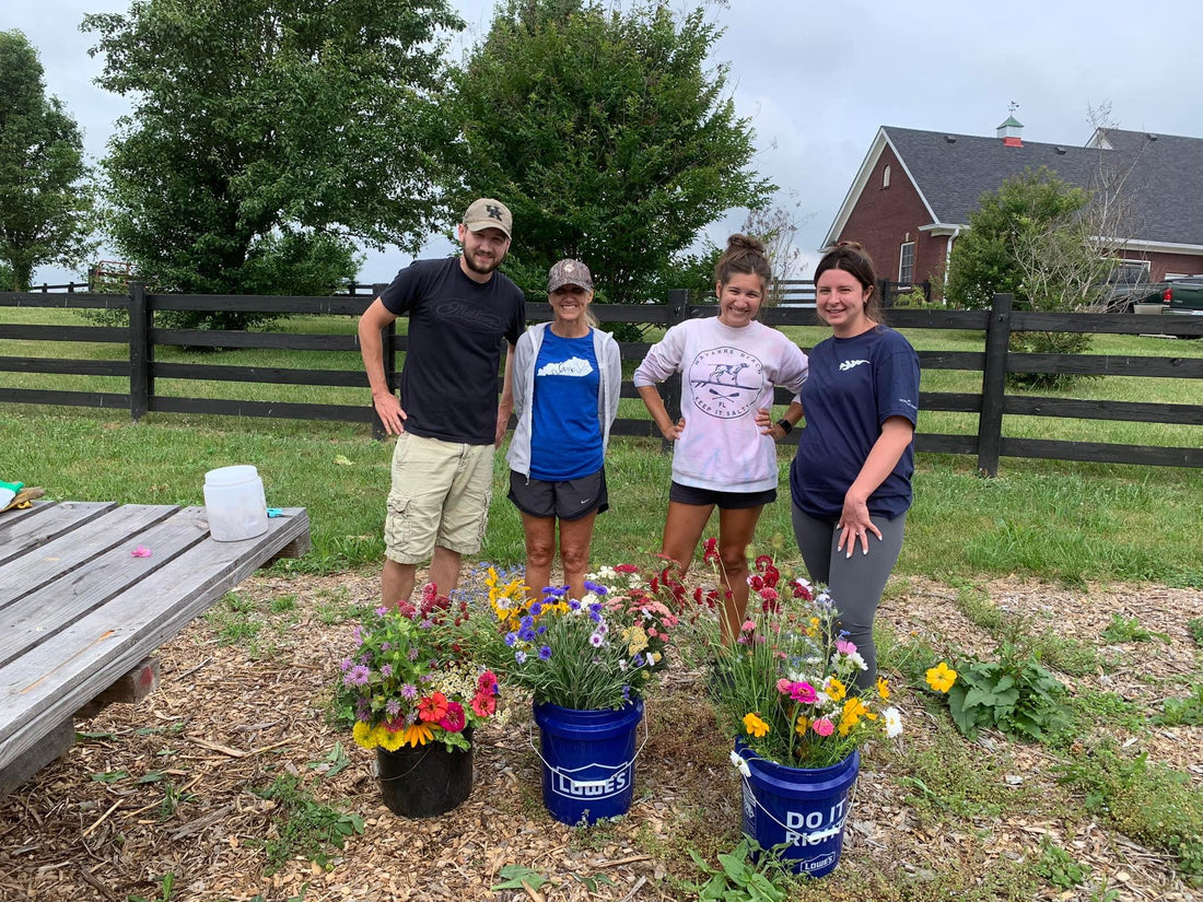 Create Stunning Wedding or Event Flowers on a Budget with Our Bulk Buckets