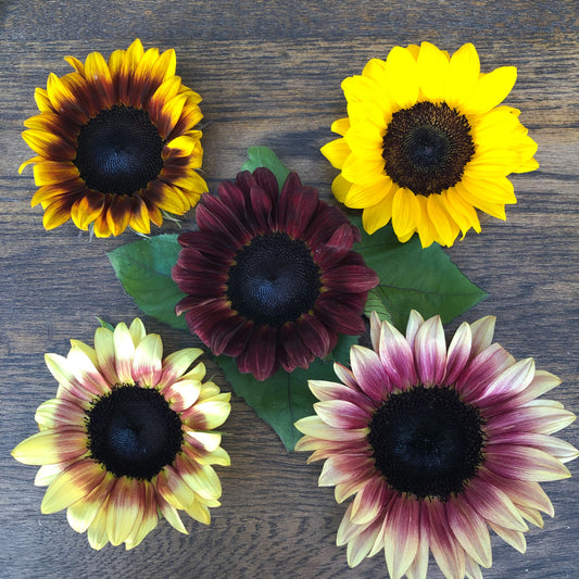 How the You-Pick Flower Experience Works