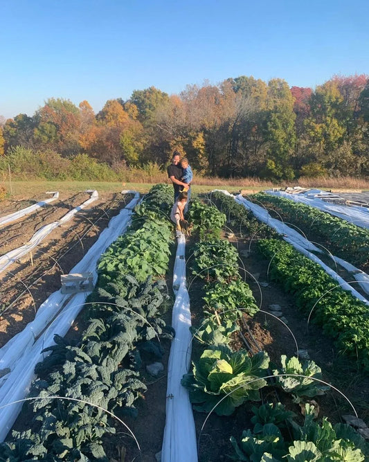 Why Our Garden Kits Are Perfect for Every Gardener