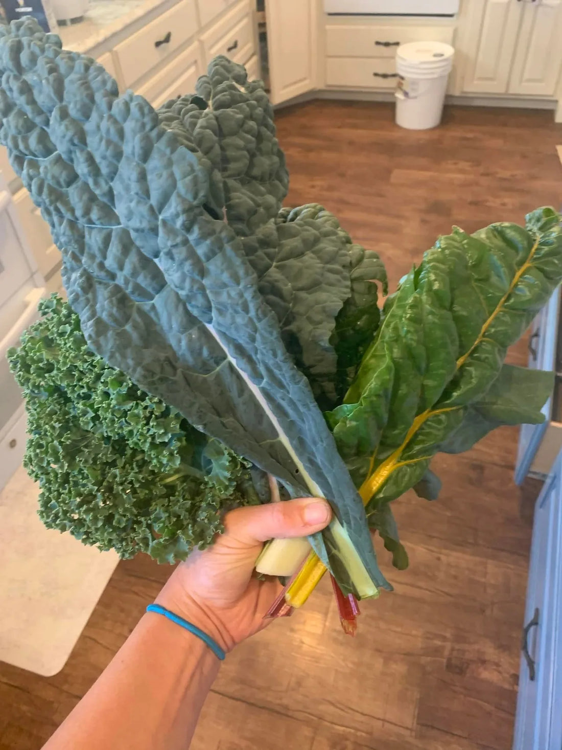 TOP 5 Veggies that LOVE the Cold