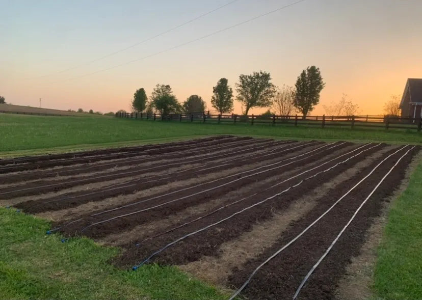 3 Steps to a No-Till Garden