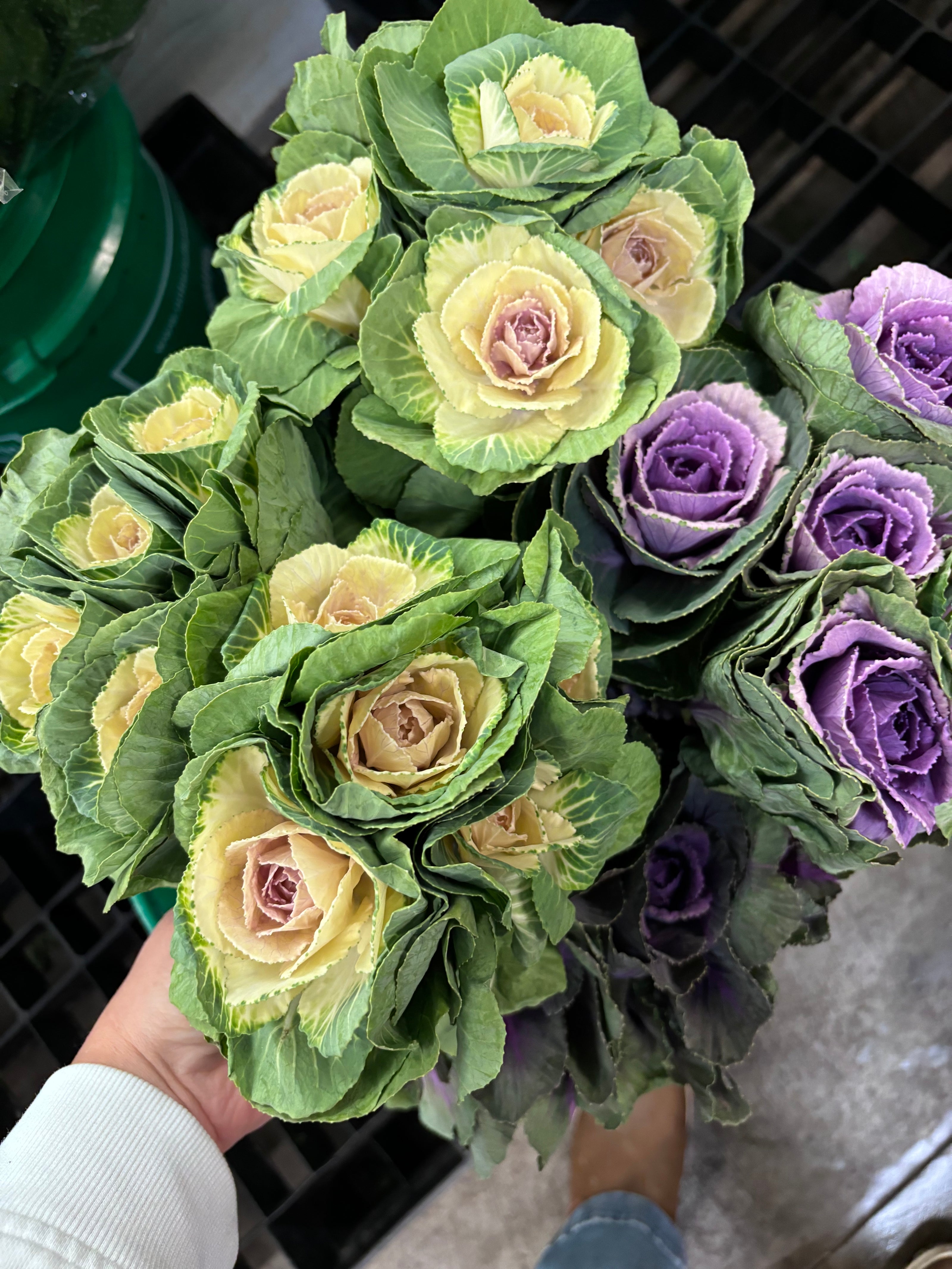 Monthly Flower Subscription Service with Delivery