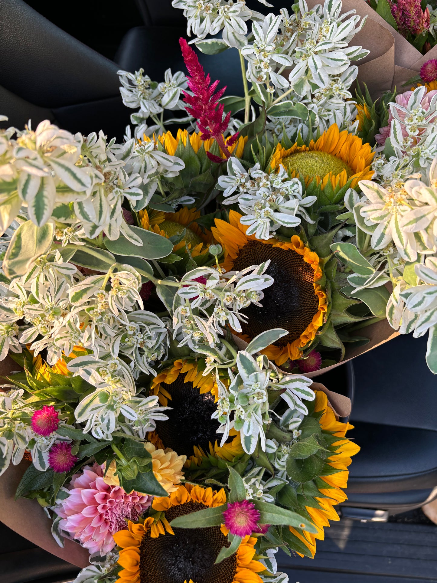 Bulk Buckets (DIY Growers Choice)