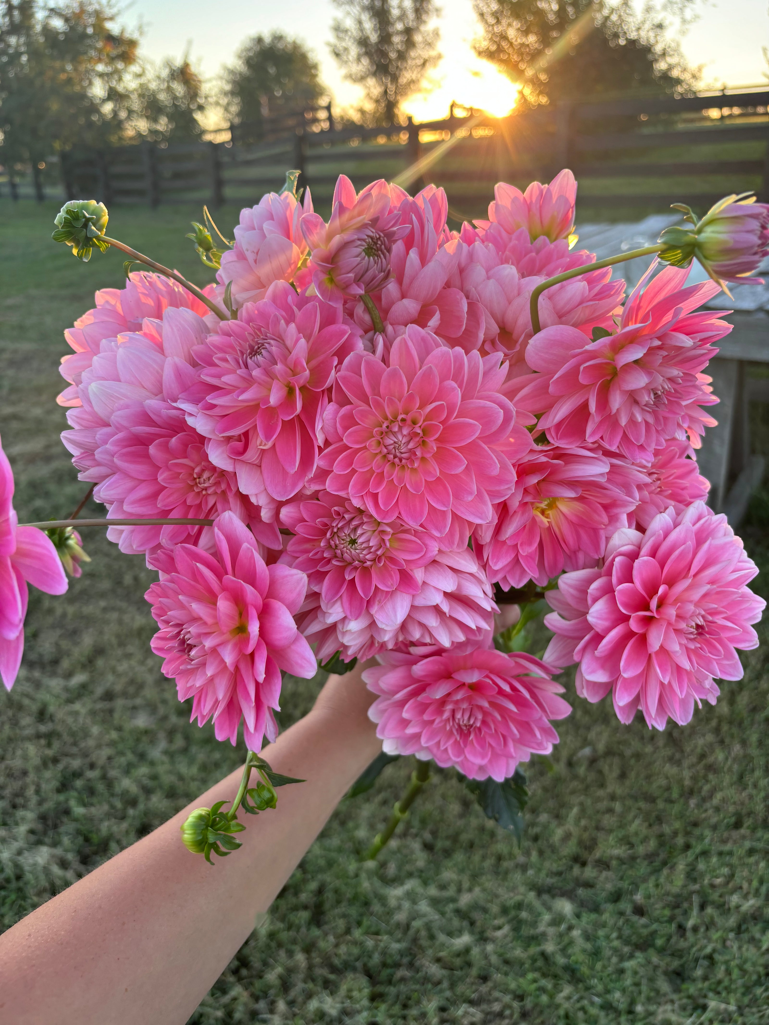 Monthly Flower Subscription Service with Delivery