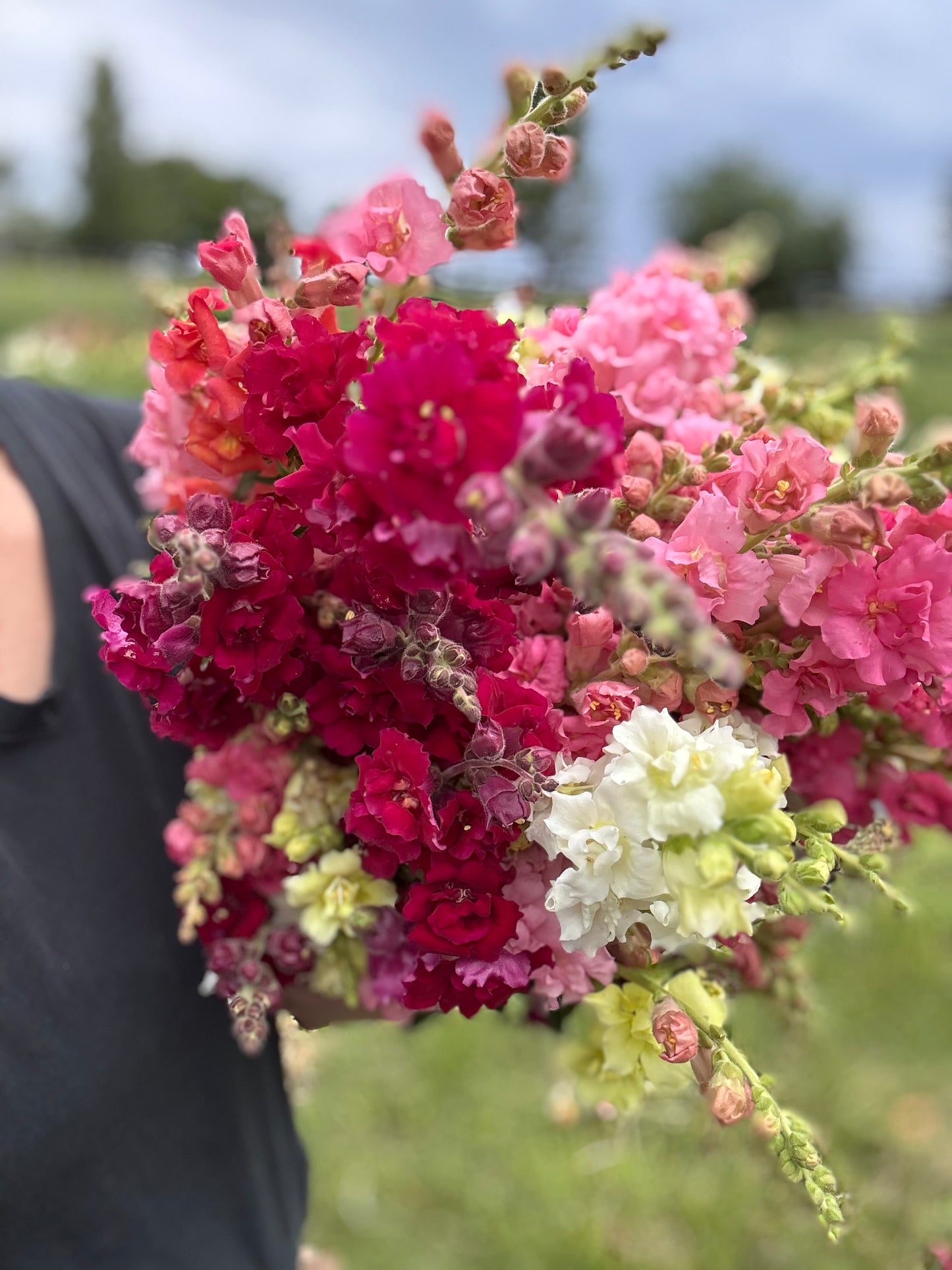Petals & Pour – Flower Arranging + Juice Flight Experience | Saturday, June 14 | Starting at 1:30 PM