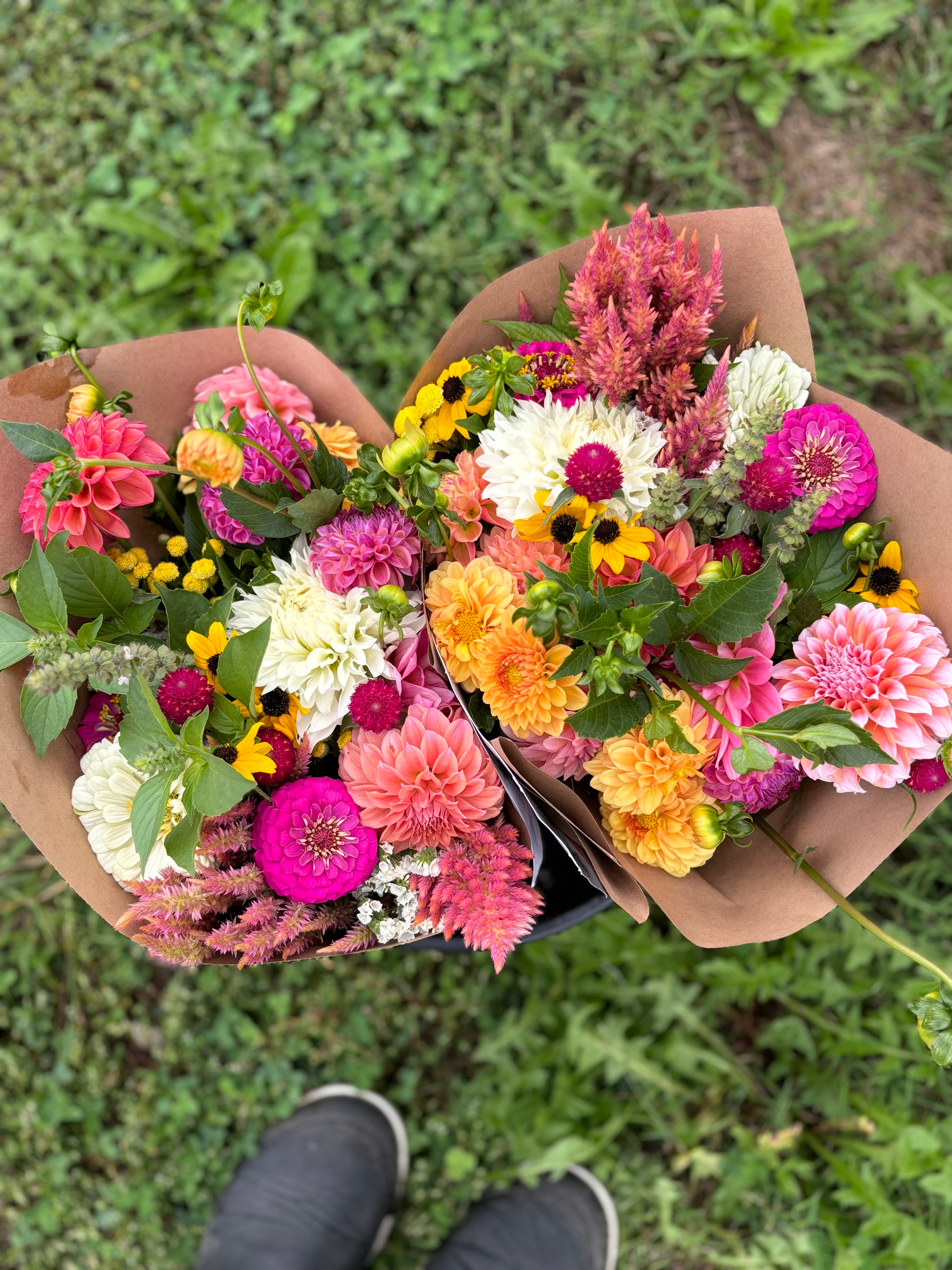 Monthly Flower Subscription Service with Delivery