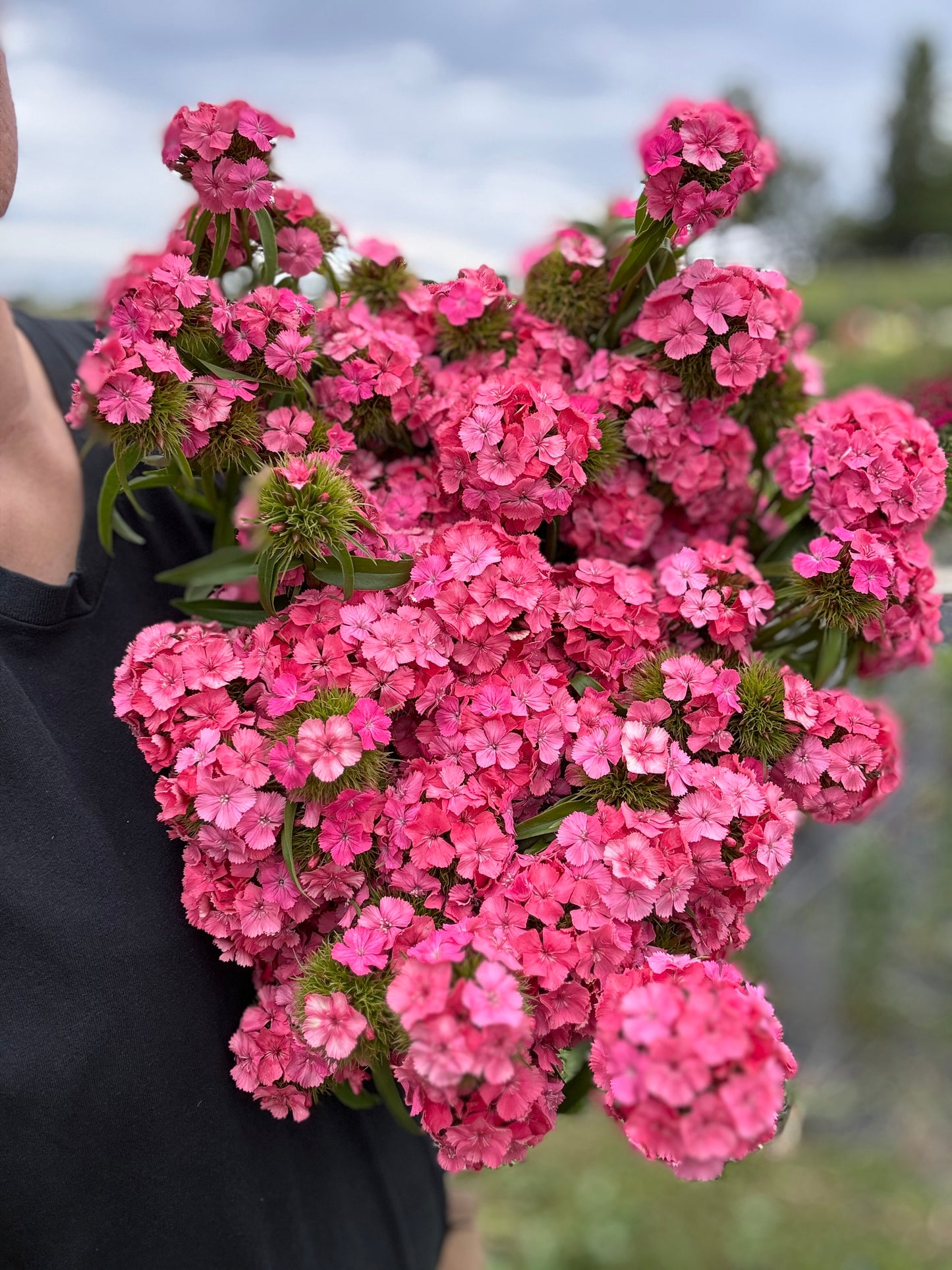 Petals & Pour – Flower Arranging + Juice Flight Experience | Saturday, June 14 | Starting at 1:30 PM