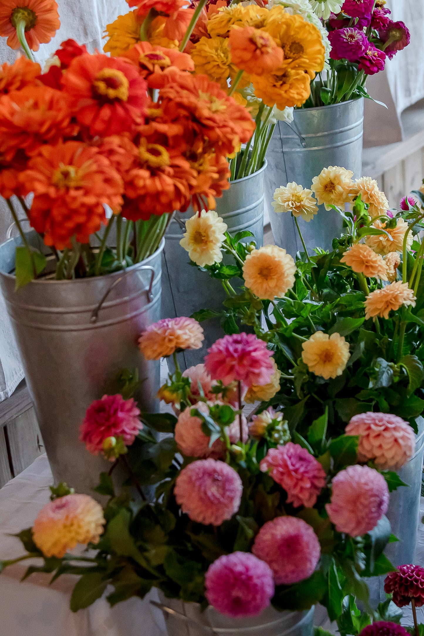 Bulk Buckets (DIY Growers Choice)