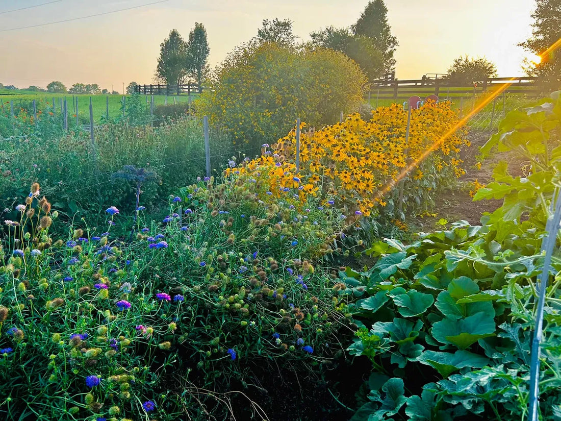 Building a Healthy Garden