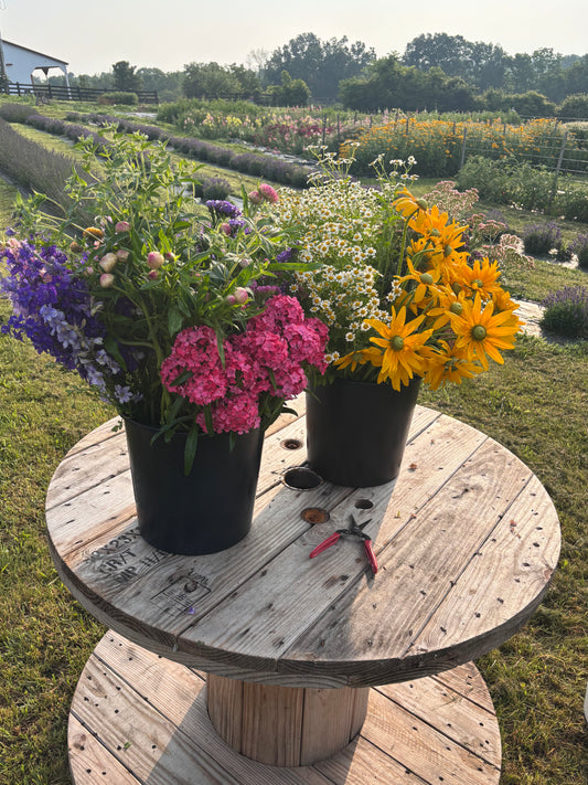 Bulk Buckets (Farmers Choice)