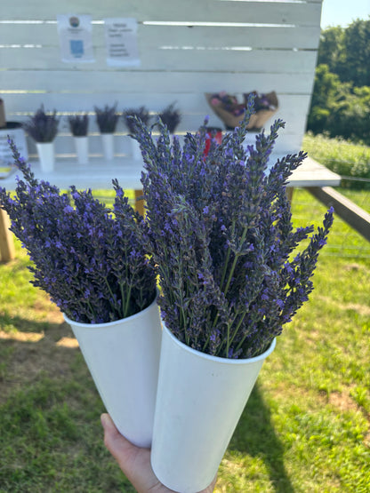 Lavender Holiday Body Care Workshop