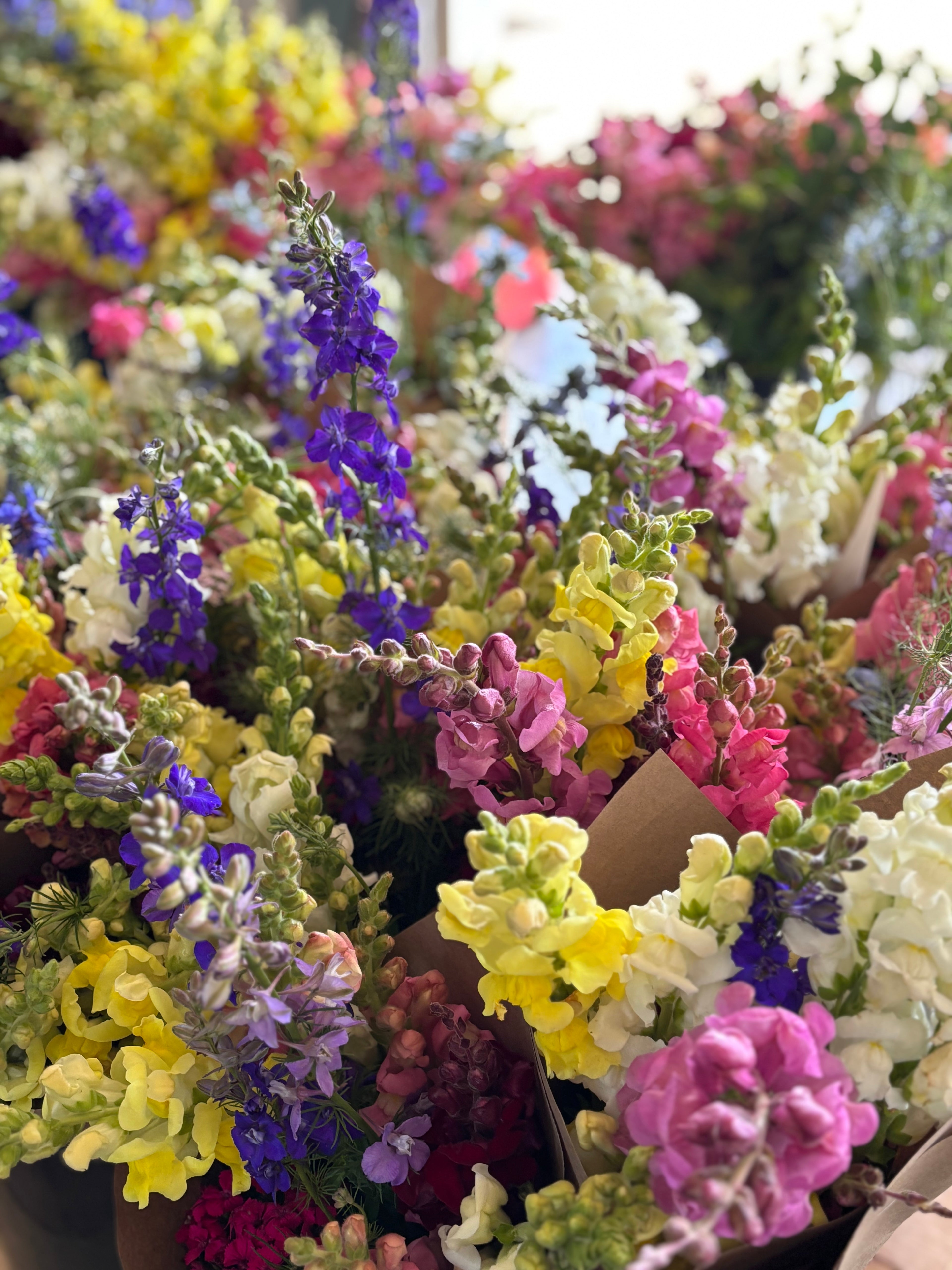 Close-up of a bouquet of colorful flowers including purple, yellow, and pink.