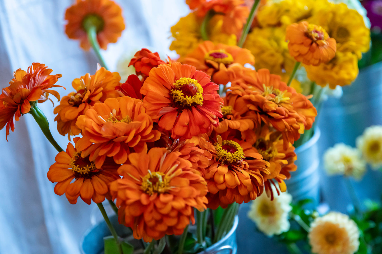 Petals & Pour – Flower Arranging + Juice Flight Experience | Saturday, June 14 | Starting at 1:30 PM