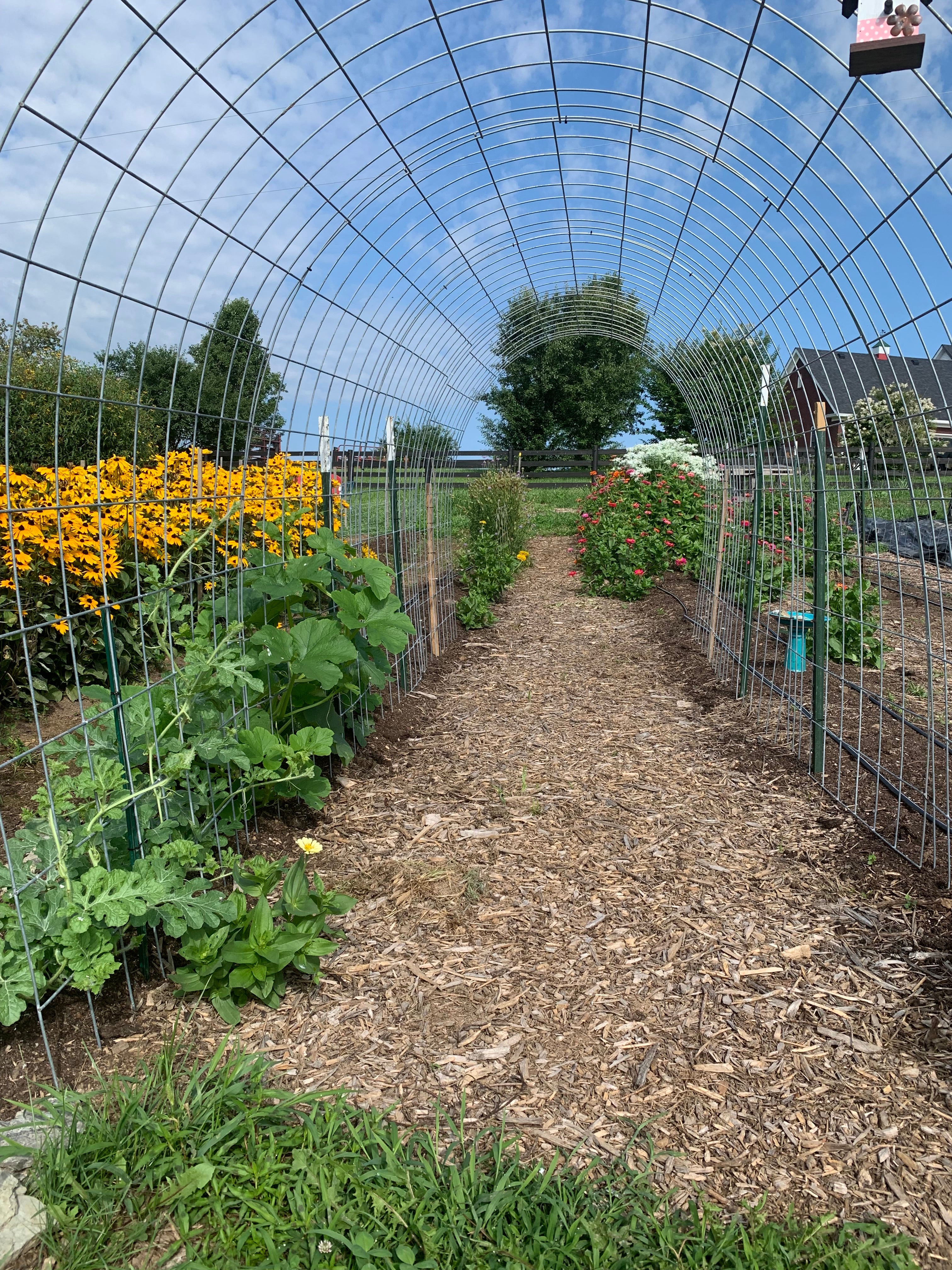 Family-Friendly Flower Farm in Kentucky
